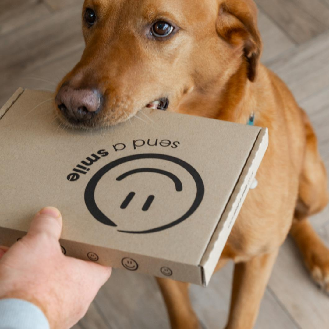 Dog Mum Gift | Treats For Dog And Dog Mum