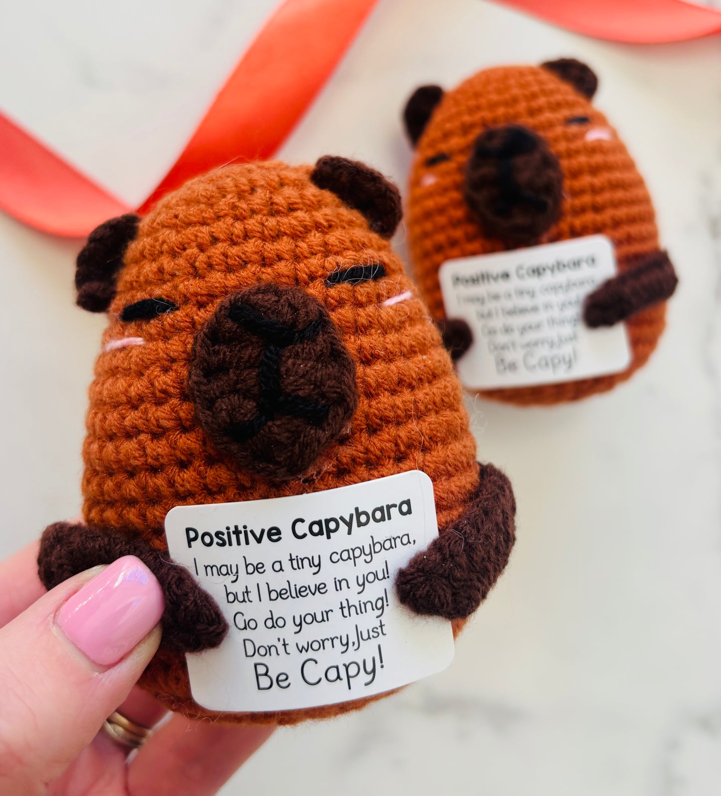 Positive Capybara