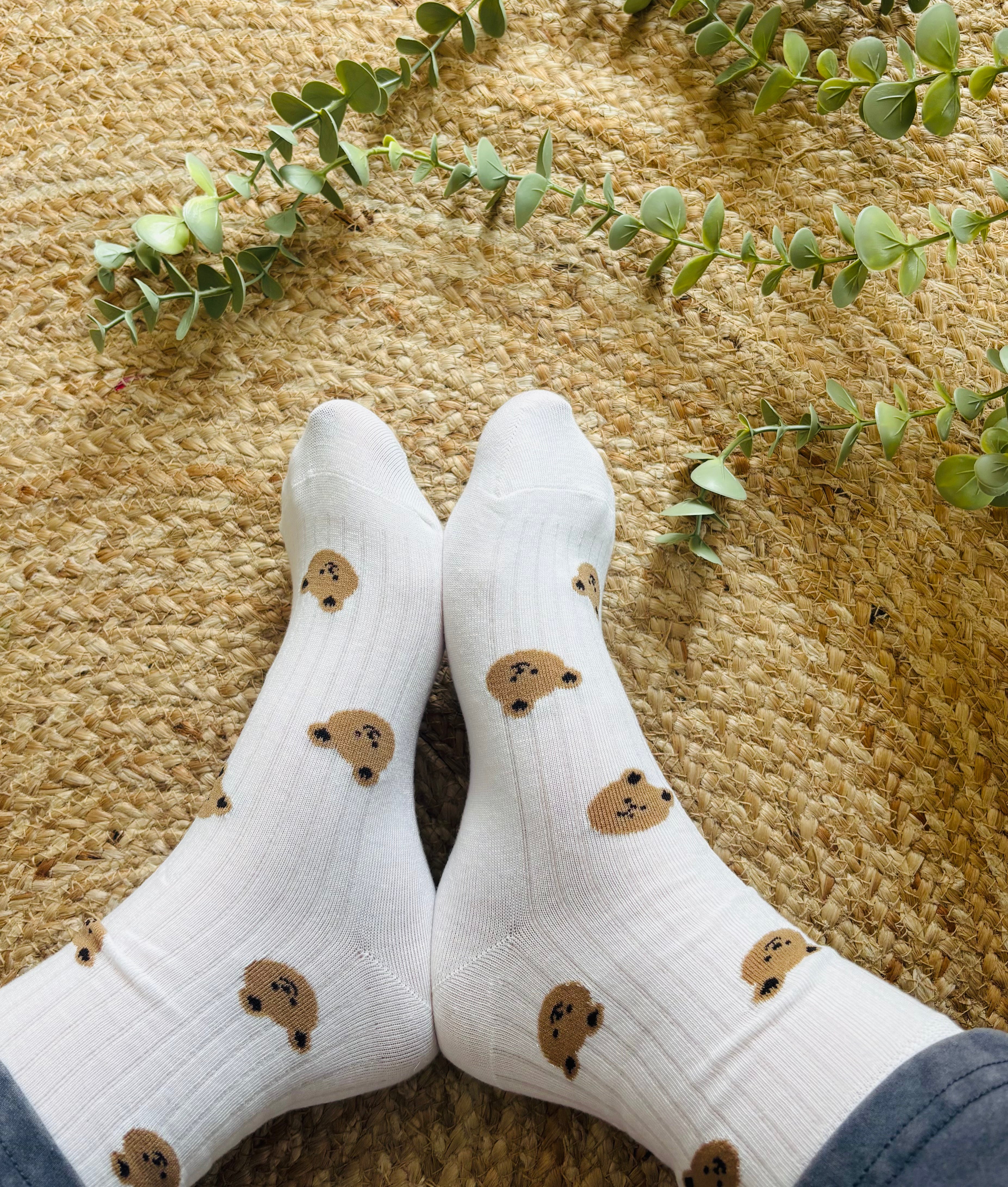 Cotton Bear Hug Socks For Her | SEND A SMILE