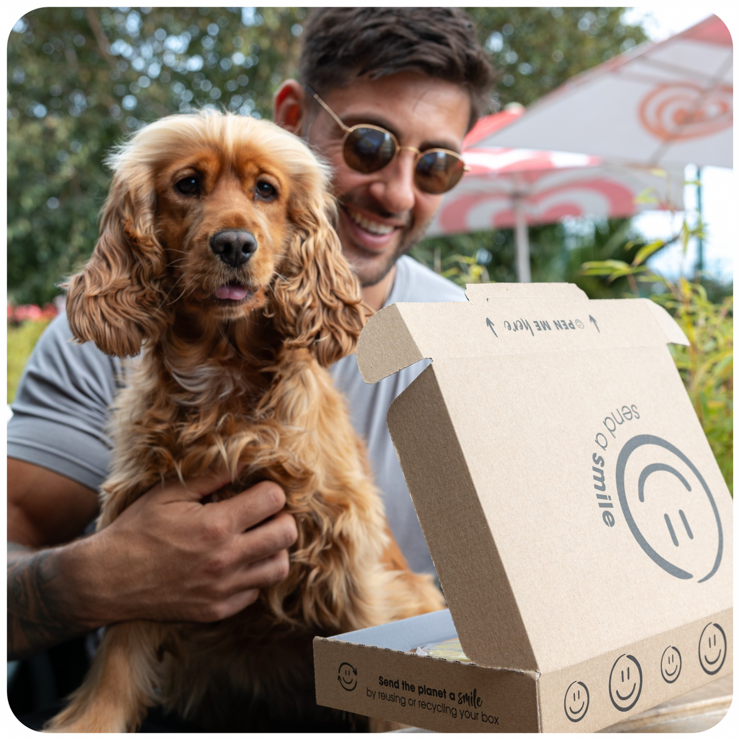 Pawfect Pair Christmas Gift Box