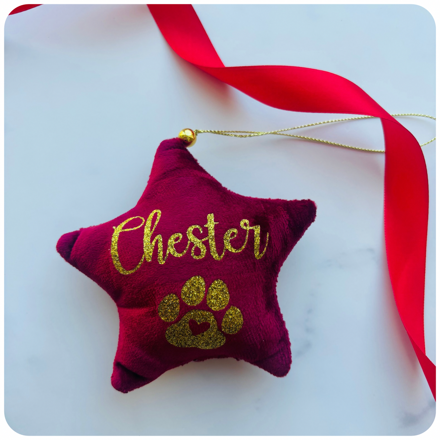 Pawfect Pair Christmas Gift Box
